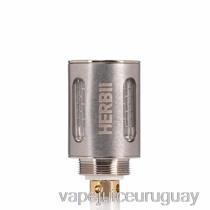 Dazzleaf Herbii Bobinas De Repuesto Vaporizador De Acero Inoxidable Recargable